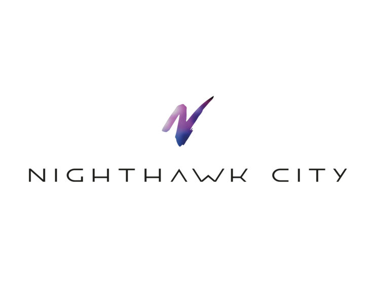 Logo Entwicklung für die Band Nighthawk City in Rosenheim