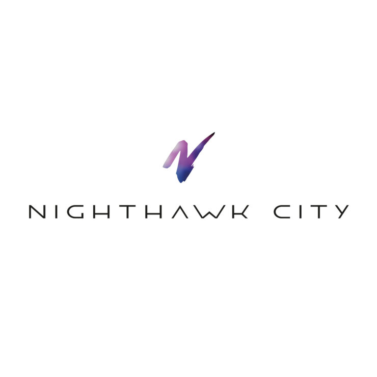 Logo Entwicklung für die Band Nighthawk City in Rosenheim