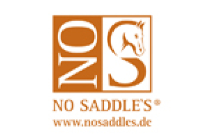 NO SADDLES